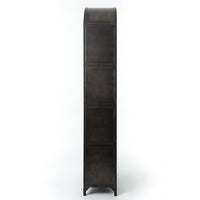 Gwyneth Cabinet